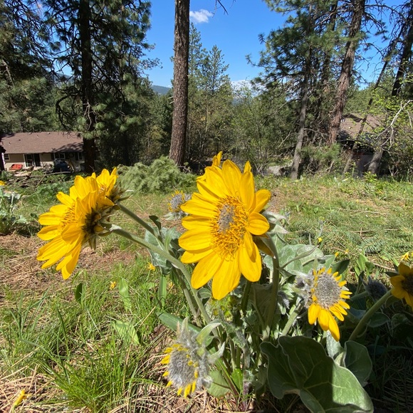 ❤️😊 Gently used family clothes 😊❤️ - Picture 4 of 4